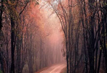 [NBA]常规赛10月26日：太阳VS 集锦.