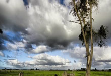 [天下足球]近况不佳 马竞战平西班牙人.