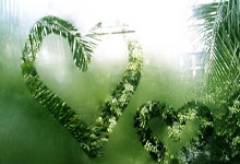 哈里-阿马斯：18岁生日当天完成曼联首秀，我感到非常自豪.