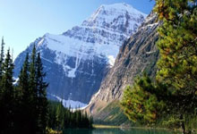 迪拜集训备战世预赛 国足期待5位新人“上位”.