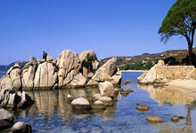 B体育官网：[中超]0比3到4比3 山东泰山逆转梅州客家.